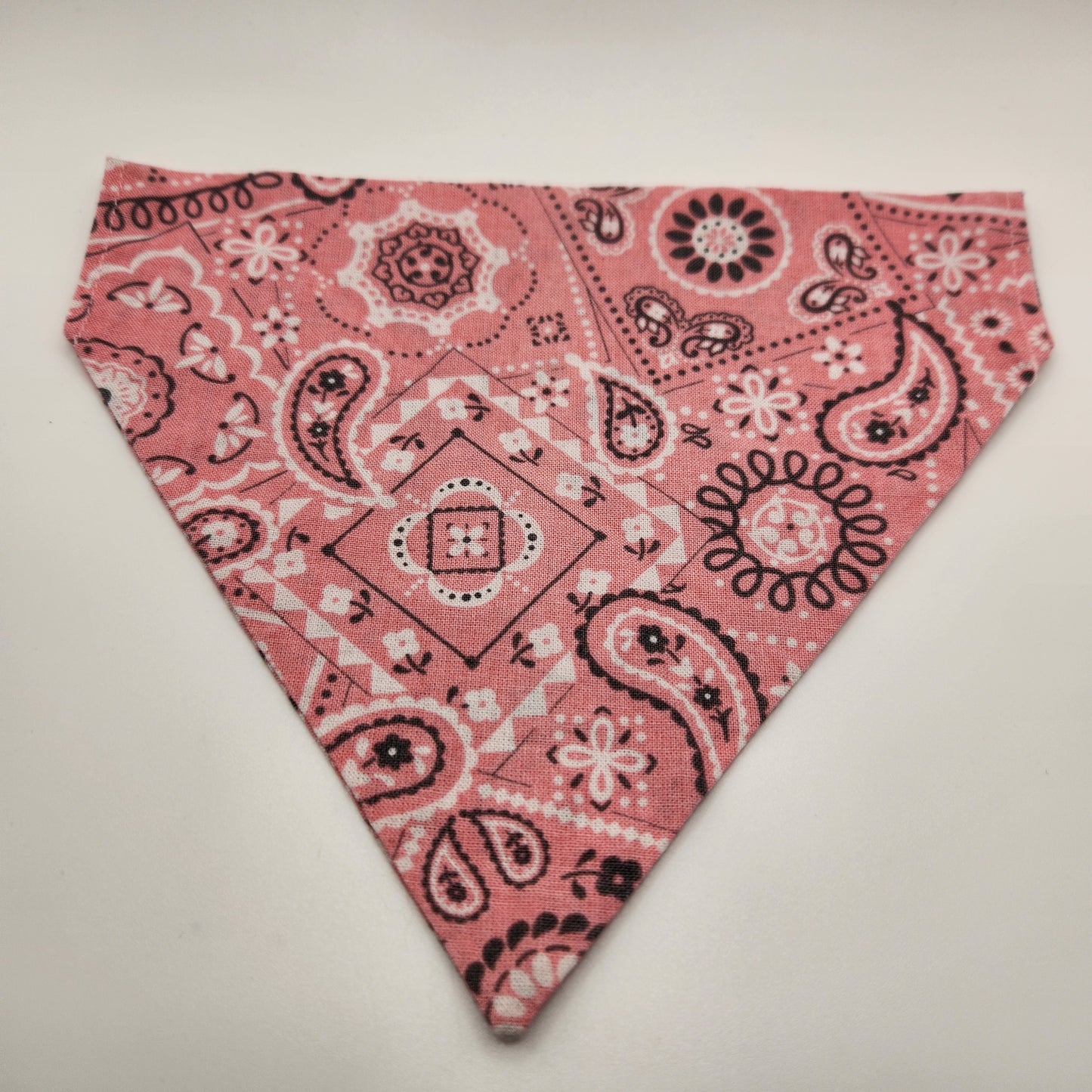 The Paisley -Over The Collar Bandana