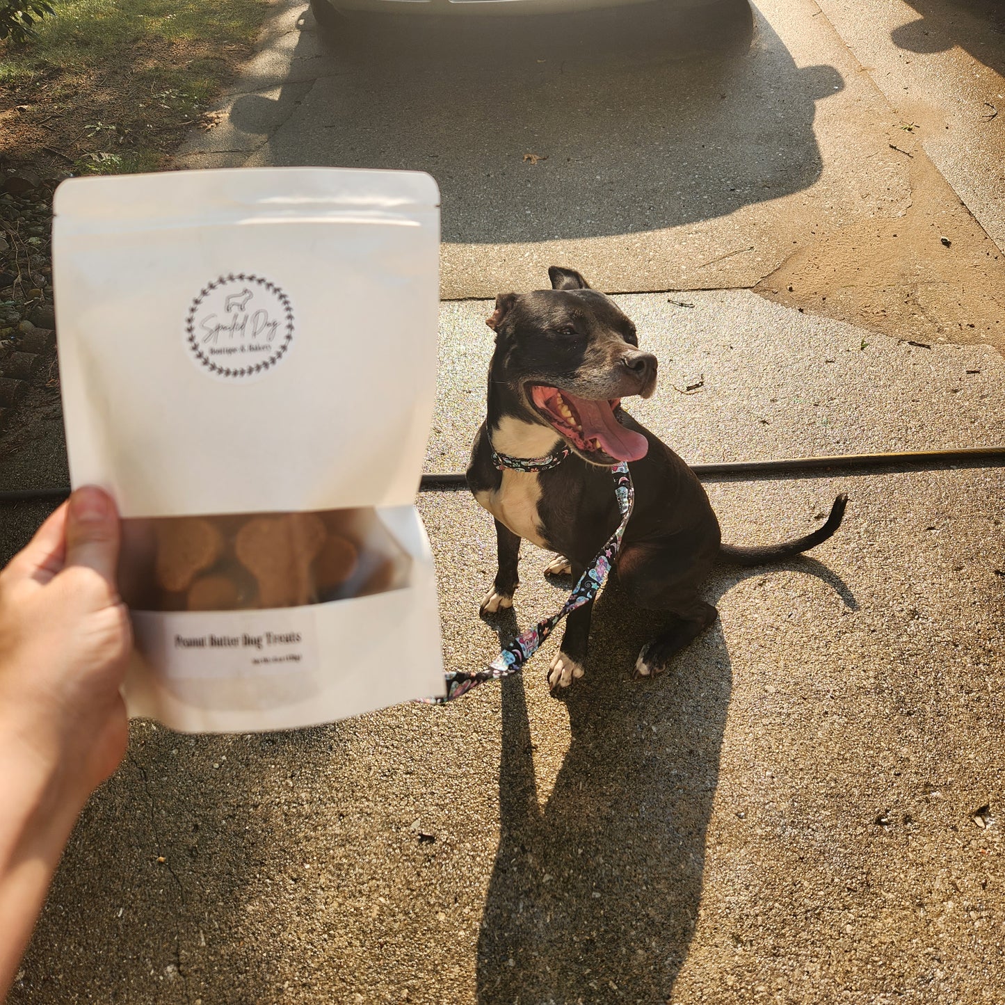 Peanut Butter Flavor Dog Treats