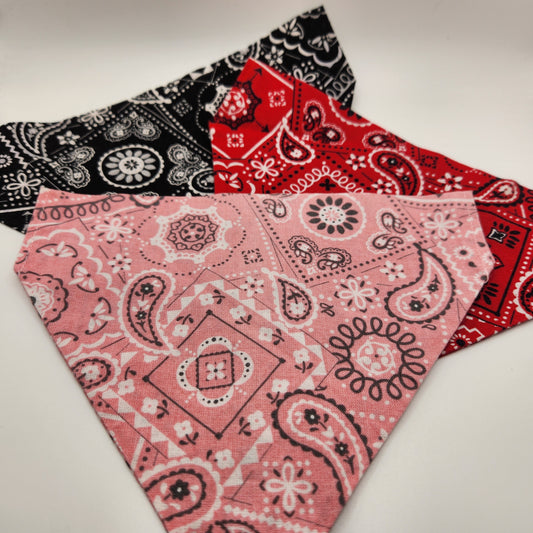 The Paisley -Over The Collar Bandana
