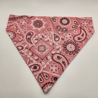 The Paisley -Over The Collar Bandana